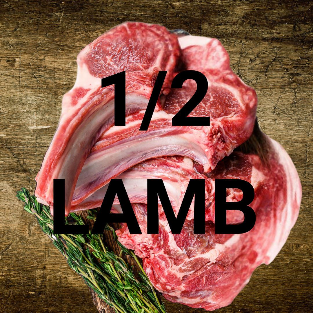 Grassfed Taste of the Mountains Lamb Bundle - Real Red Meat