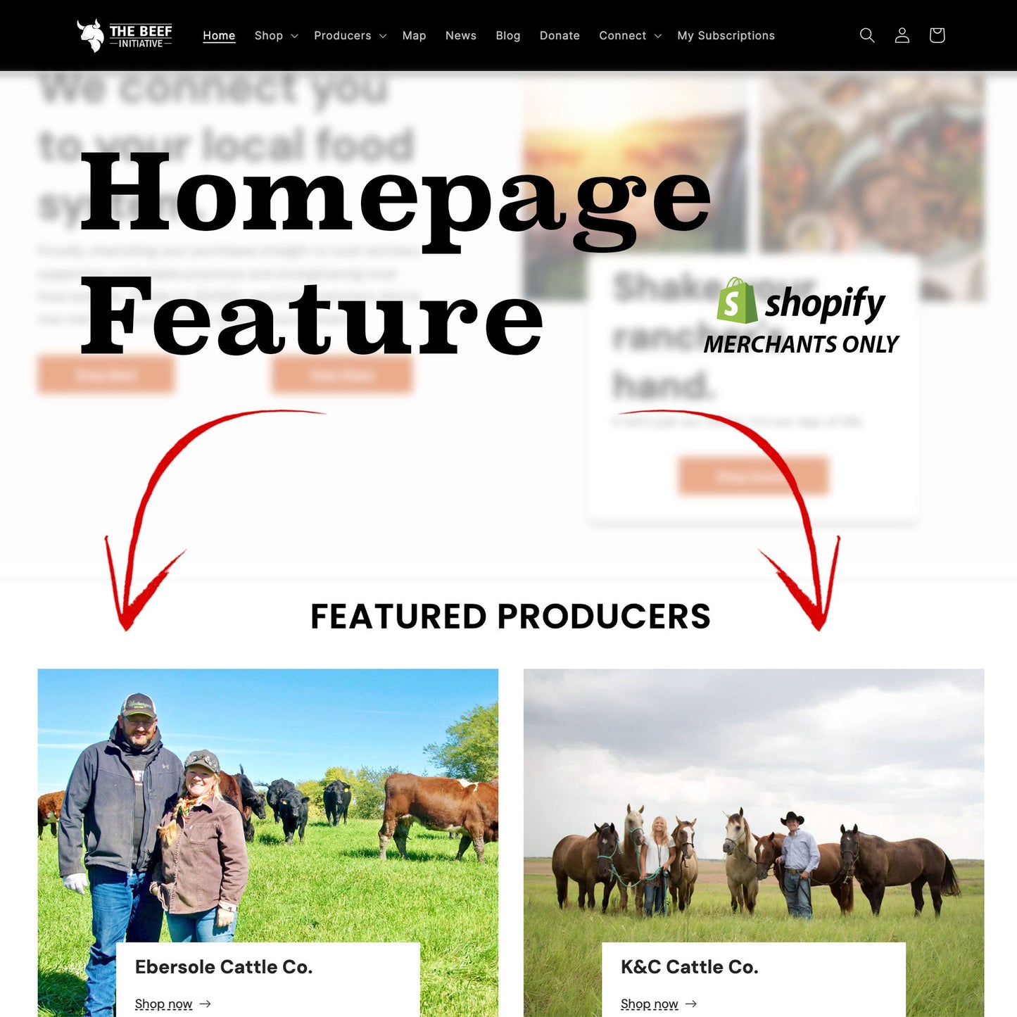 Homepage Feature