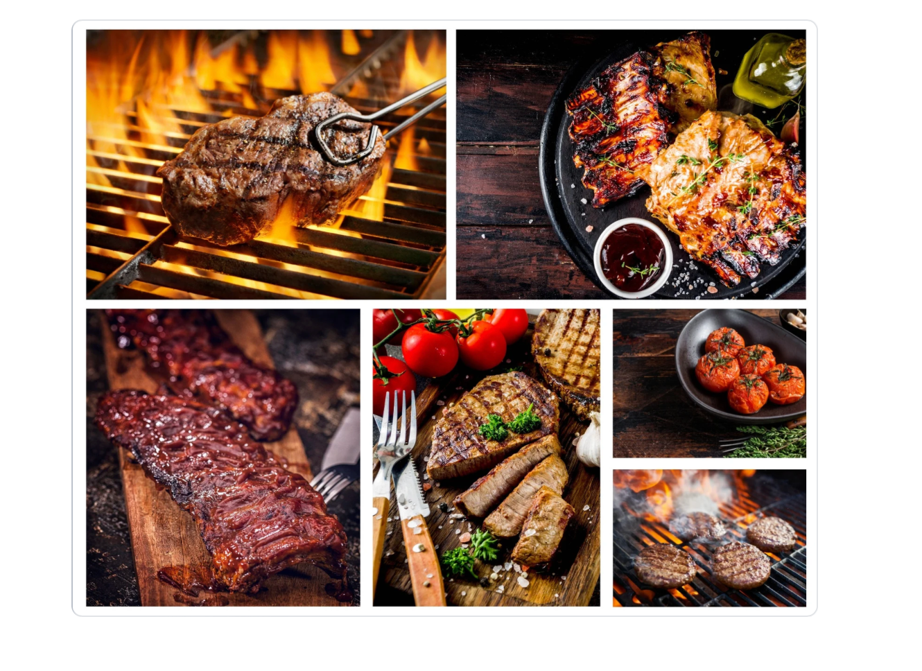 Proper Human Diet Bundle