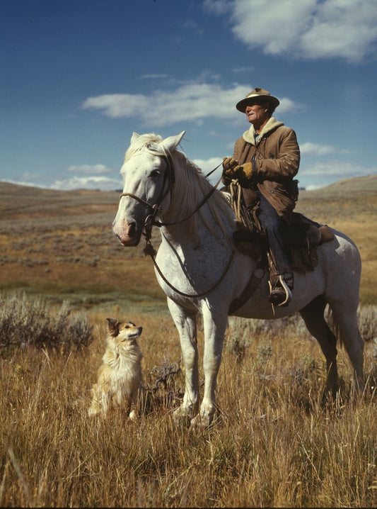 The Unsung Heroes: Exploring the Vital Benefits of Ranchers