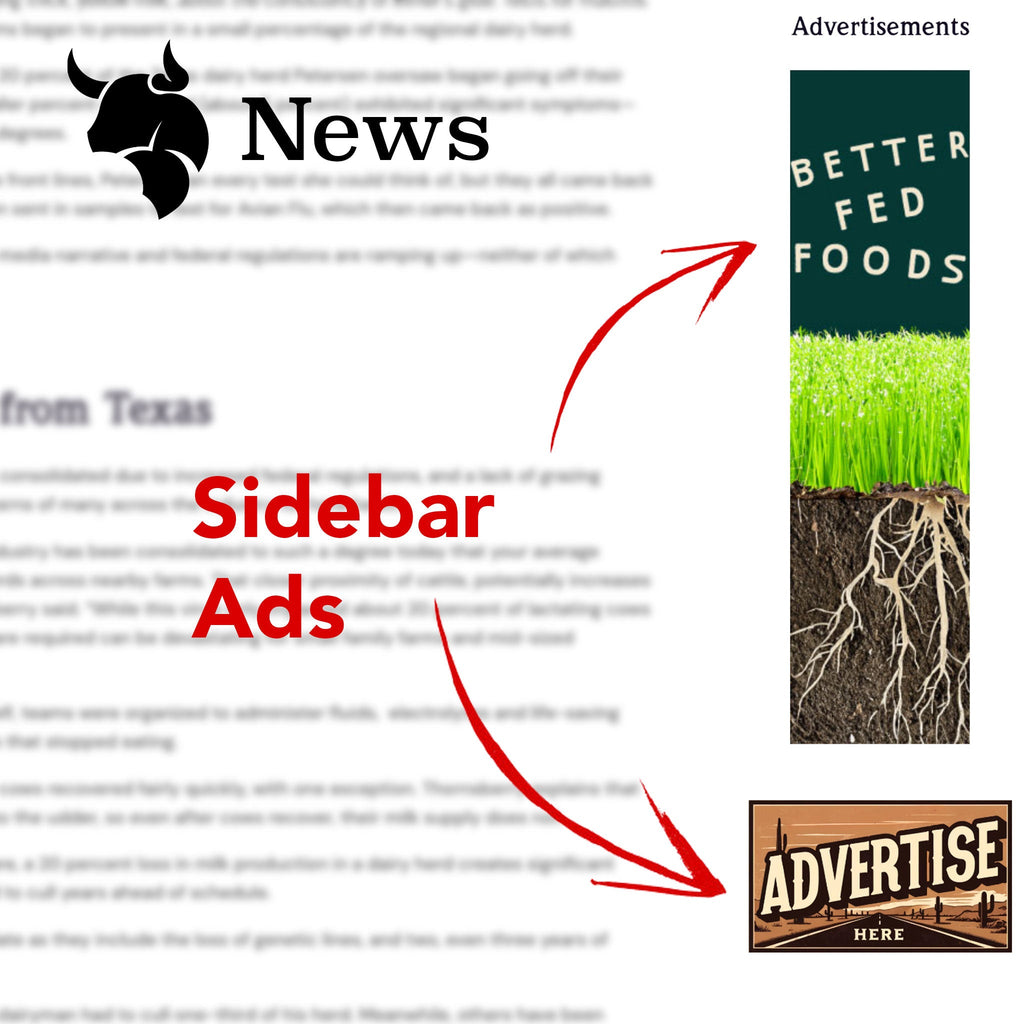 Sidebar Ads (Beef News)