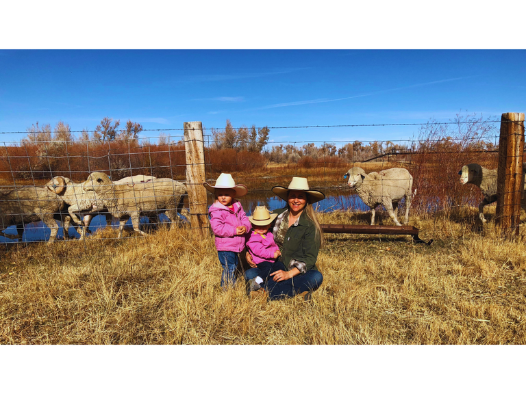 Grassfed Taste of the Mountains Lamb Bundle - Real Red Meat