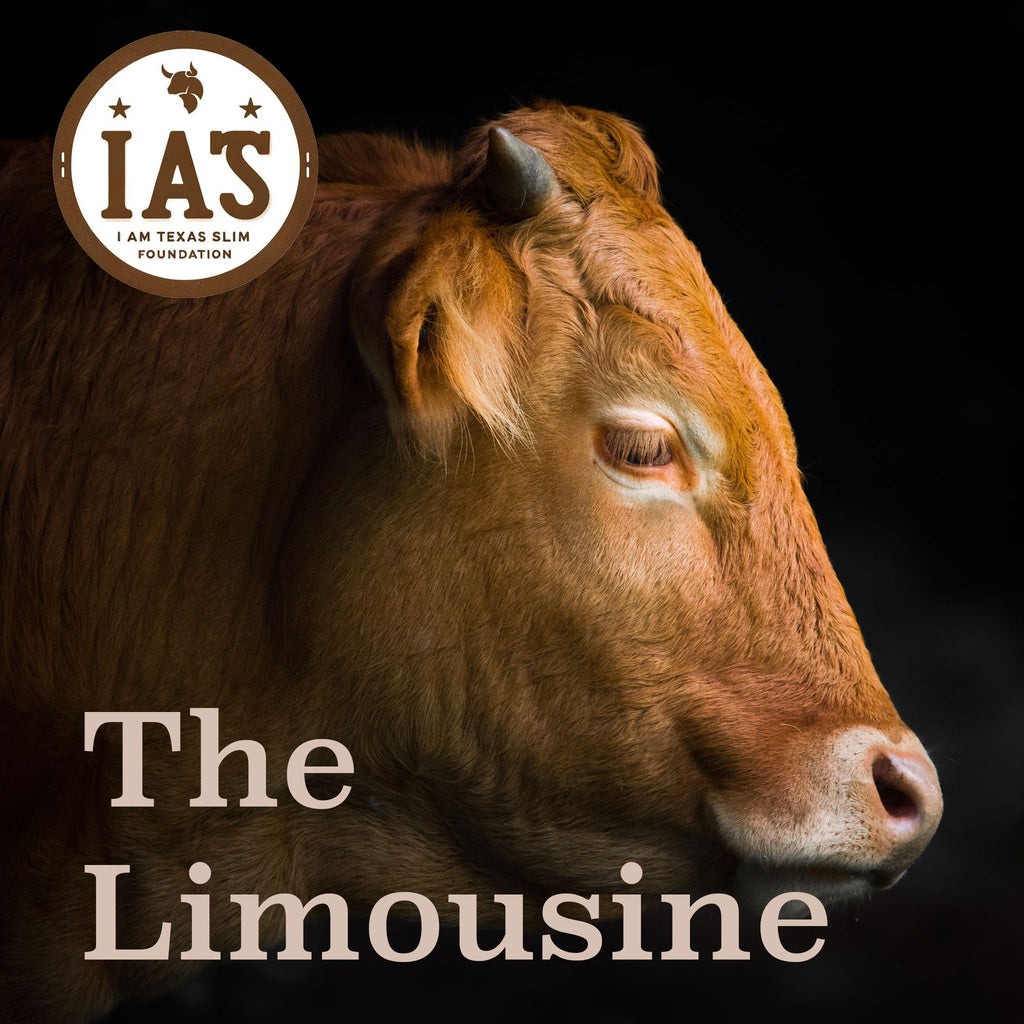 The Limousin (Sponsorship)