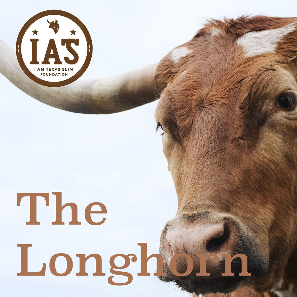 The Longhorn (Sponsorship)