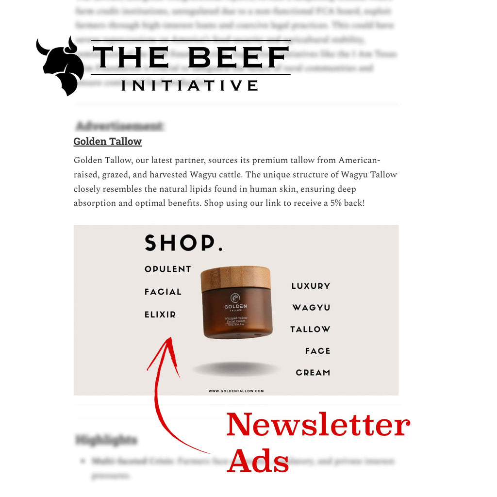 Newsletter Ads (Direct Email)