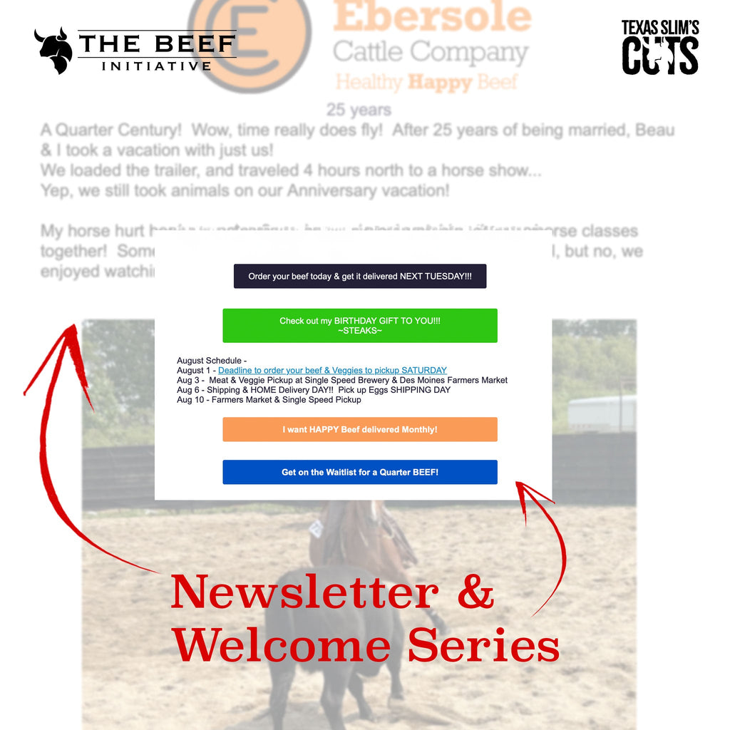 Newsletter & Welcome Series Creation