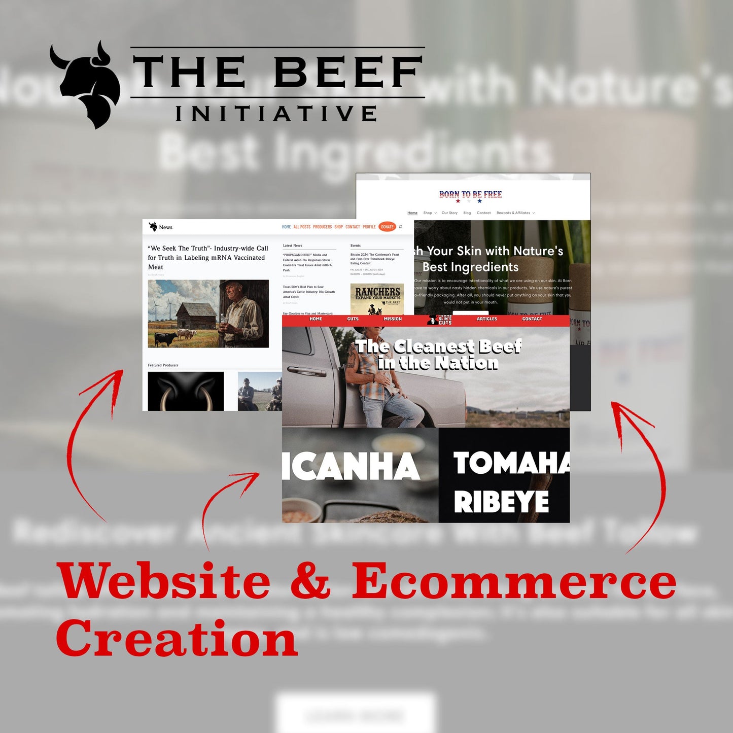 Website and E-Commerce Creation