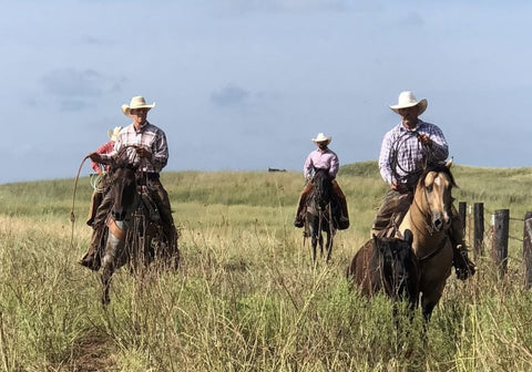 Rattlesnake Meats - Ground Beef Rebellion