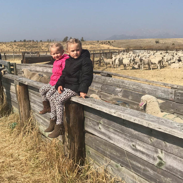 Grassfed Taste of the Mountains Lamb Bundle - Real Red Meat